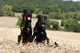 BEAUCERON 742